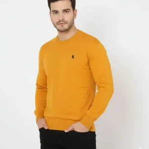 Erkek Bisiklet Yaka Nakış Işlemeli Triko Kazak Yumuşak Dokulu Pamuklu Ince Dokuma, Uzun Kollu Rahat Regular Kalıp - Turuncu